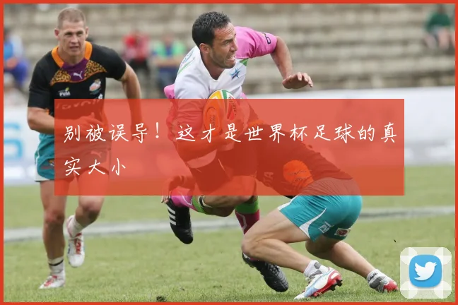 别被误导！这才是世界杯足球的真实大小